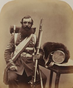 Kersantti Knapp, Kylmävirran vartiosto tekijältä Robert Howlett