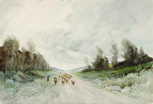 Northumberland Road (wc paperilla) tekijältä Robert J. Hewitt