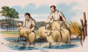 "Pesu", c1845