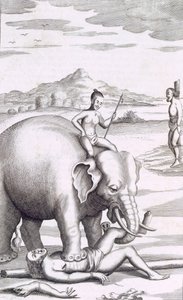 Elefantin teloitus, pubi. 1681. tekijältä Robert Knox