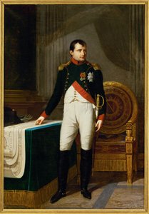 Keisari Napoleon I Chasseurs a cheval de la garde -joukkojen everstinä ... (maalaus kankaalle) tekijältä Robert Lefevre