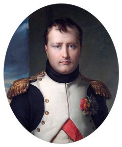 Napoleon Bonaparten muotokuva, 1800-luku