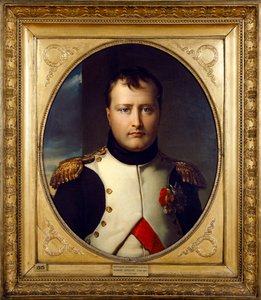 Napoleon Bonaparten muotokuva, 1800-luku