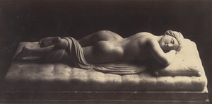 Hermafrodiitti, n. 1861.