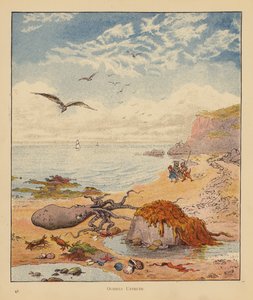 Kitten Pilgrims: Octopus Untruth (väri litho) tekijältä Robert Michael Ballantyne