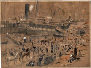 Tykistö nousemassa Argo-aluksella Balaklavassa toukokuussa 1856 - Tykistö nousemassa Argo-aluksella. Balaclava, toukokuu 1856, kirjoittanut Landells, Robert Thomas (1833-1877)
