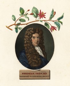 Nehemiah Grew