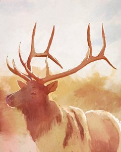 Bull Elk, 2023 (digitaalinen)