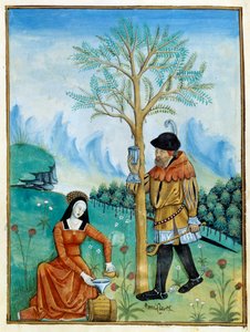 Balm Reccolation. Mies kokoaa lääkkeeksi käytetyn puusta (Flora: balsamier) virtaavan hartsin eli seven, kun taas nainen laittaa sen tynnyriin. Miniatyyri "" Yksinkertaisten lääkäreiden kirjassa"" (Folio 187v) v.1520-1530. Enlumine by Testard Tap