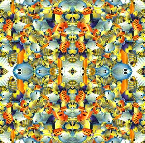 Kaleidoskooppi kala laatta