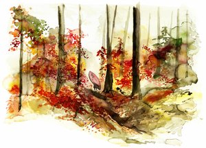Syksyinen metsä- ja surffausmatka