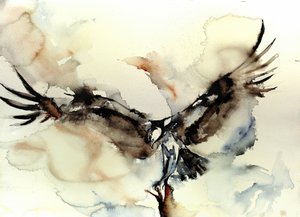 Ospreyn dynaaminen lento