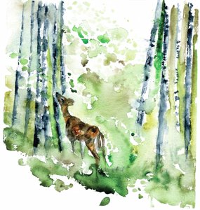  tekijältä RodMacIver