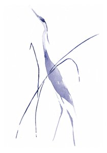  tekijältä RodMacIver