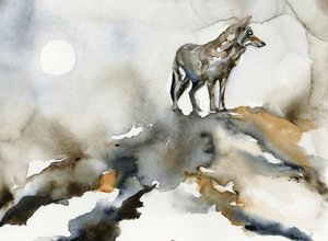 Yksinäisen suden kuu tekijältä RodMacIver