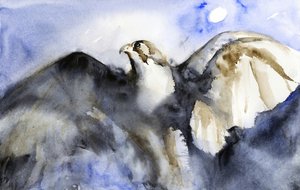 Majesteettinen haukkojen lento tekijältä RodMacIver