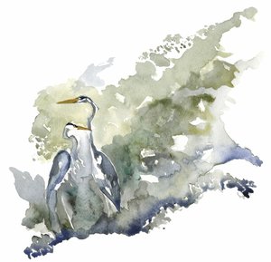  tekijältä RodMacIver