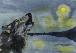 Kuuta ulvova susi tekijältä RodMacIver