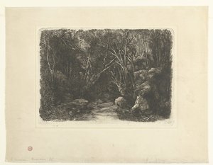 Metsämaisema puroilla ja ulkonevilla puilla Le Ruisseau sous bois tekijältä Rodolphe Bresdin