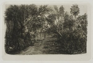 The Creek tekijältä Rodolphe Bresdin