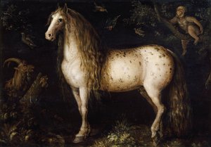 Kirpeän harmaa, c. 1625-1630