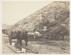 Nauta ja kärryt lähtevät Balaklavasta, 1855. tekijältä Roger Fenton