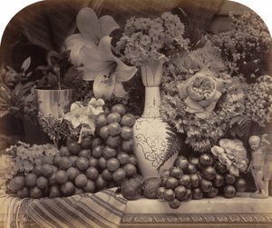 Hedelmiä ja kukkia,1860 (kuva) tekijältä Roger Fenton