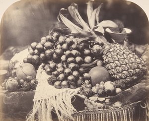 Asetelma hedelmien kanssa, 1860. tekijältä Roger Fenton
