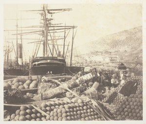 Tykistötukikohta, Balaklava tekijältä Roger Fenton