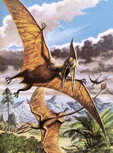 Pteranodon (ylhäällä) ja Rhamphorhynchus (alhaalla). tekijältä Roger Payne