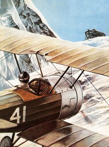 Arkin havaitseminen tekijältä Roger Payne