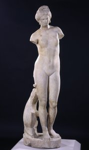 Afrodite Kyrenestä tekijältä Roman