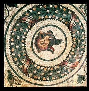 Karhun pää, roomalainen mosaiikki, 400-luvun alku (mosaiikki) tekijältä Roman