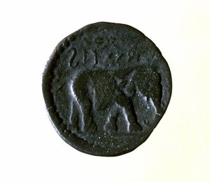 Karthago kolikko, joka edustaa norsua. 3. tai 2. vuosisadalla eaa. tekijältä Roman