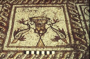 Delfiinin mosaiikki, Insula XXVIII, rakennus 3, 2. vuosisadalla eKr. (mosaiikki) tekijältä Roman