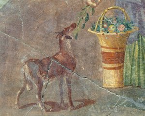Vuohi ja hedelmäkori, fresko Pompejista, Campaniasta, Italiasta, roomalaisesta sivilisaatiosta tekijältä Roman