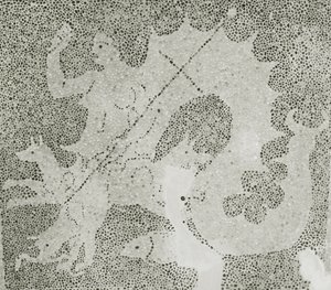 Helenistinen kivimosaiikki Scyllasta ja Charybdista vartioimassa salmea, yksityiskohta Scyllasta. Dionysoksen talo, Paphos, Kyproksen mosaiikki tekijältä Roman