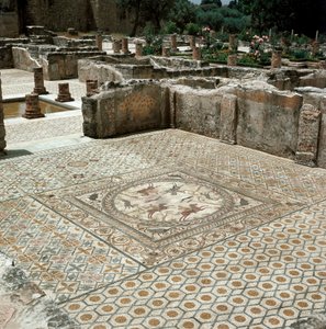 Rooman kaupungin mosaiikkien jäänteet tekijältä Roman