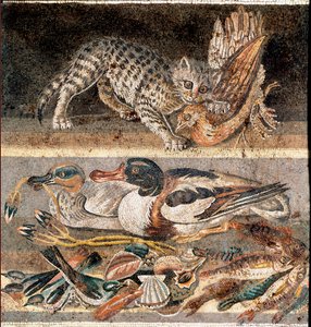 Roomalainen taide: kissa syö peltopyytä ja villiankat 1. eKr. ensimmäinen puolisko) Rooma, Museo Nazionale Romano tekijältä Roman