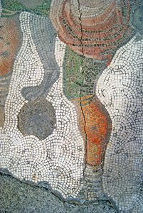 Tuntematon kuva tekijältä Roman