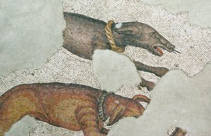 Tuntematon kuva tekijältä Roman