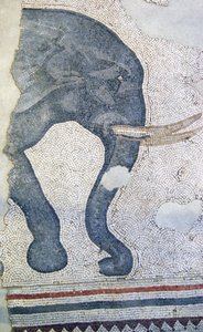 Tuntematon kuva tekijältä Roman