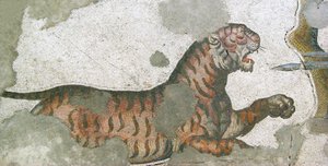 Tuntematon kuva tekijältä Roman