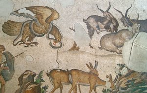 Tuntematon kuva tekijältä Roman
