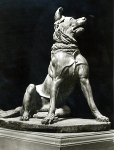 Bullmastiffikoira (marmori) tekijältä Roman Roman