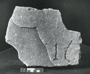Vuosisadan kivi (kivi) tekijältä Roman Roman