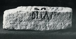 Kaiverrettu vuosisadan kivi (kivi) tekijältä Roman Roman