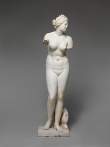 Kukat tekijältä Roman Roman