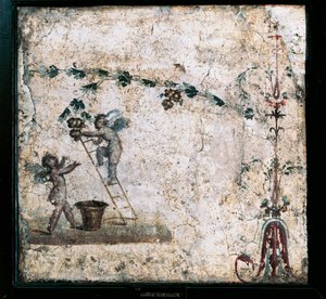 Kolmannen tyylin fresko, joka kuvaa Cupidon sadonkorjuuta, Marcus Lucretiuksen talosta Pompejista tekijältä Roman Roman
