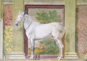 Hevossali, yksityiskohta, jossa on muotokuva harmaasta hevosesta Mantovan Ludovico Gonzaga III:n tallilta
